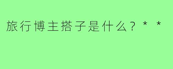 旅行博主搭子是什么?**
