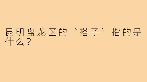 昆明盘龙区的“搭子”指的是什么？