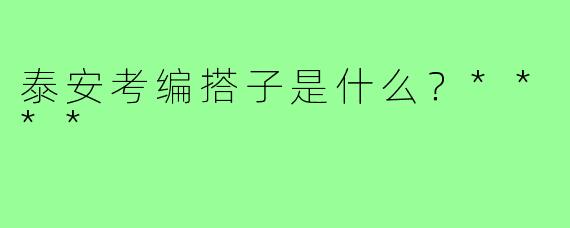 泰安考编搭子是什么？****
