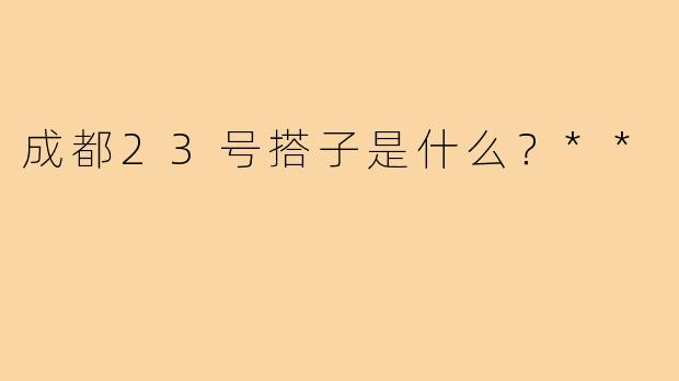 成都23号搭子是什么？**