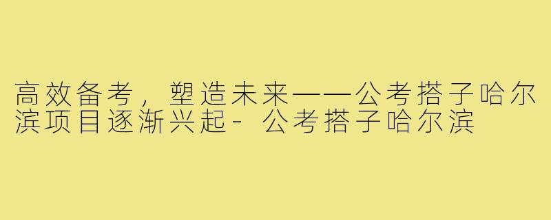 高效备考，塑造未来——公考搭子哈尔滨项目逐渐兴起