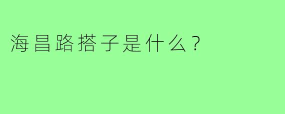 海昌路搭子是什么？