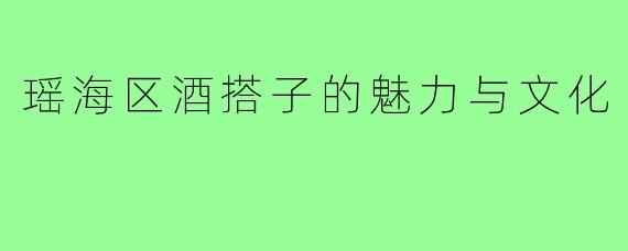瑶海区酒搭子的魅力与文化