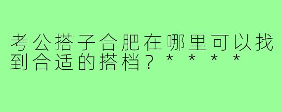 考公搭子合肥在哪里可以找到合适的搭档?****
