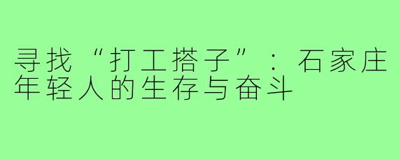 寻找“打工搭子”:石家庄年轻人的生存与奋斗