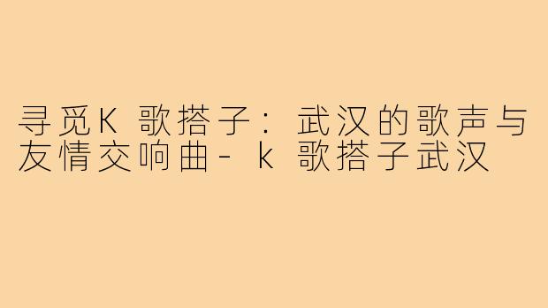 寻觅K歌搭子：武汉的歌声与友情交响曲-k歌搭子武汉