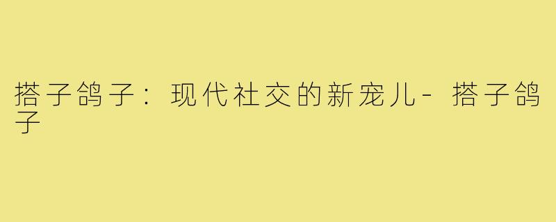 搭子鸽子：现代社交的新宠儿-搭子鸽子