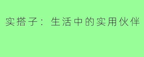 实搭子:生活中的实用伙伴