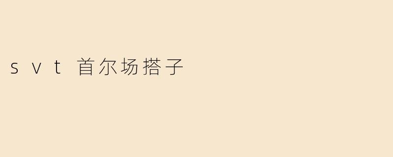 SVT在首尔的演唱会有没有搭子的机会？