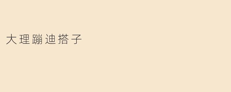 大理蹦迪搭子