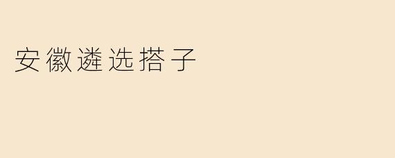 安徽遴选搭子