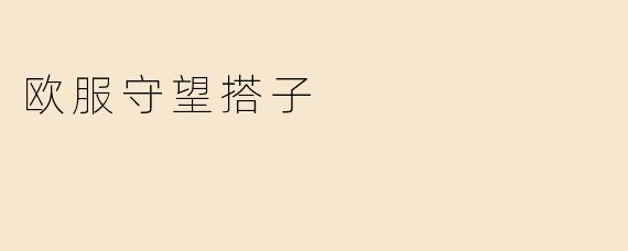 欧服守望搭子