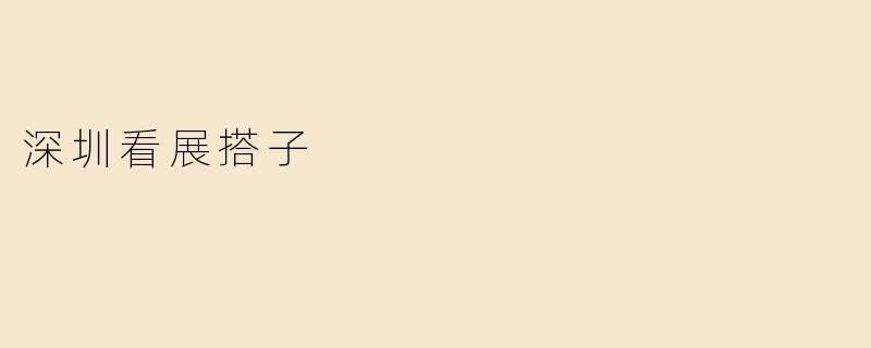 深圳看展搭子