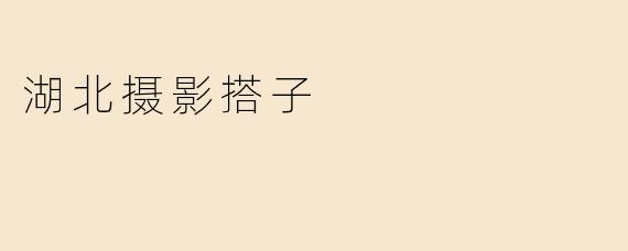 什么是“湖北摄影搭子”，他们通常提供哪些服务？