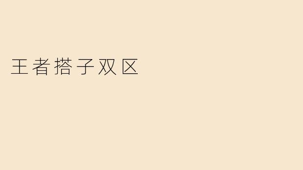 王者搭子双区