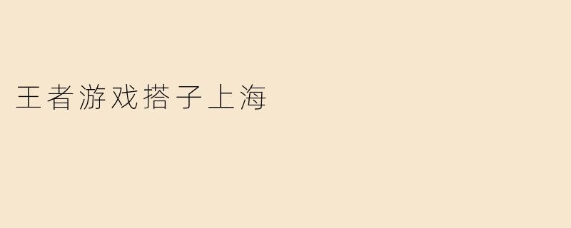 王者游戏搭子上海