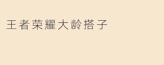 王者荣耀大龄搭子