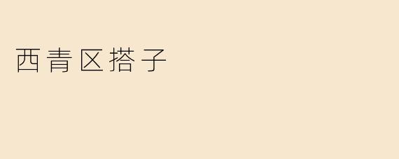 西青区搭子