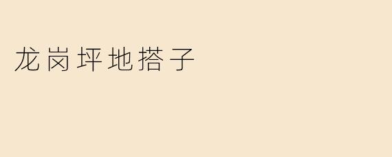 龙岗坪地搭子