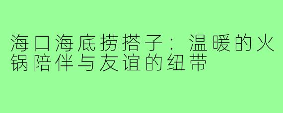 海口海底捞搭子:温暖的火锅陪伴与友谊的纽带