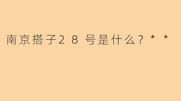 南京搭子28号是什么？**