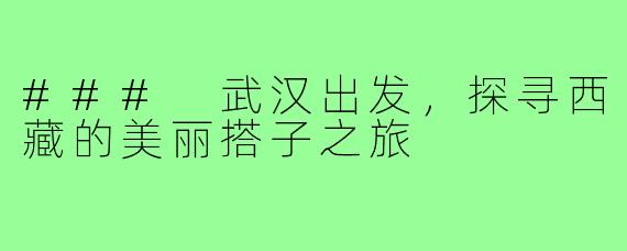 ### 武汉出发,探寻西藏的美丽搭子之旅