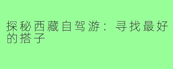 探秘西藏自驾游:寻找最好的搭子