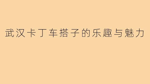 武汉卡丁车搭子的乐趣与魅力