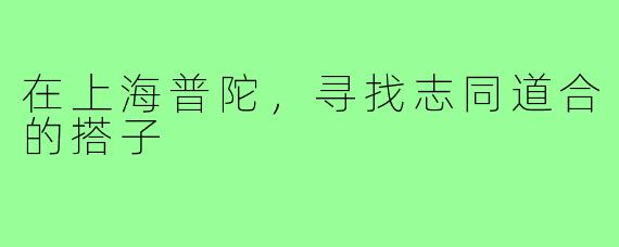 在上海普陀，寻找志同道合的搭子