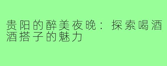 贵阳的醉美夜晚：探索喝酒酒搭子的魅力