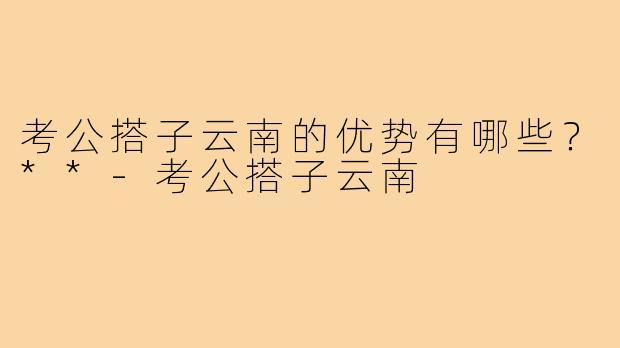 考公搭子云南的优势有哪些？**