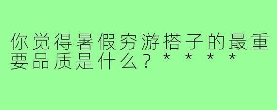你觉得暑假穷游搭子的最重要品质是什么？****