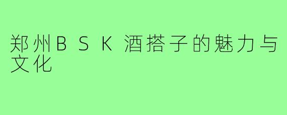 郑州BSK酒搭子的魅力与文化