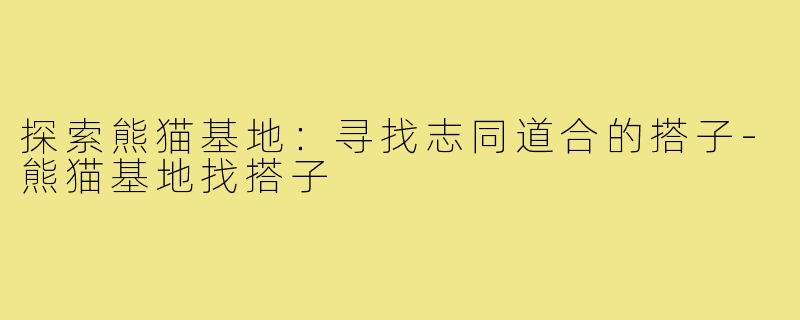 探索熊猫基地:寻找志同道合的搭子-熊猫基地找搭子