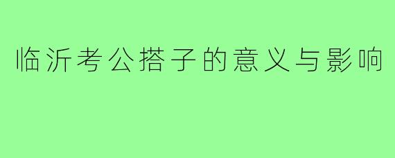 临沂考公搭子的意义与影响