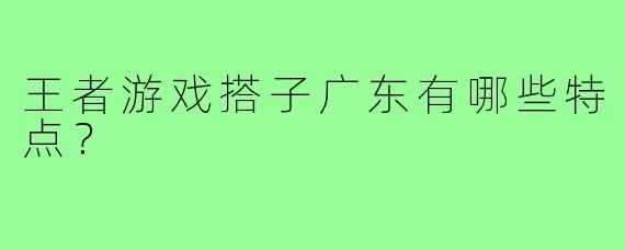 王者游戏搭子广东有哪些特点？