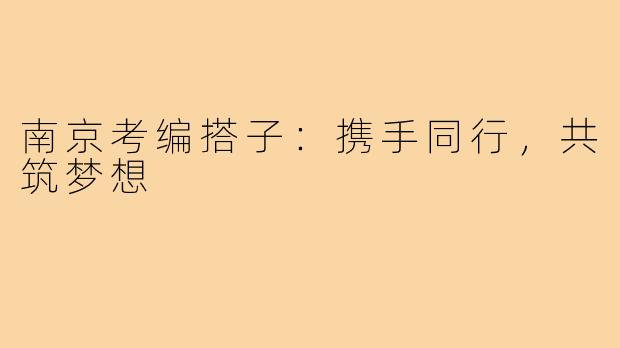 南京考编搭子:携手同行,共筑梦想