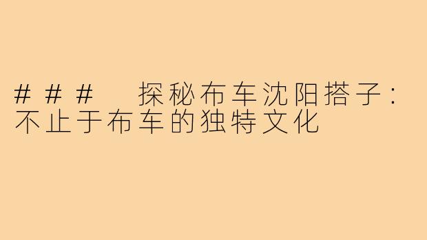 ### 探秘布车沈阳搭子:不止于布车的独特文化