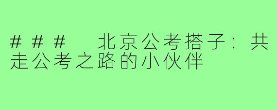 ### 北京公考搭子：共走公考之路的小伙伴