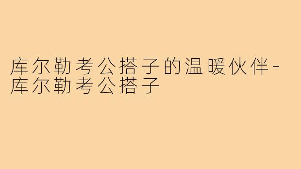 库尔勒考公搭子的温暖伙伴-库尔勒考公搭子