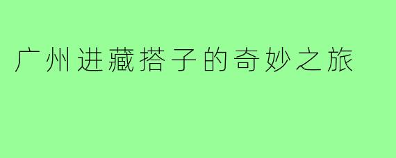 广州进藏搭子的奇妙之旅