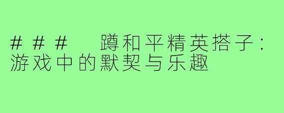 ### 蹲和平精英搭子:游戏中的默契与乐趣