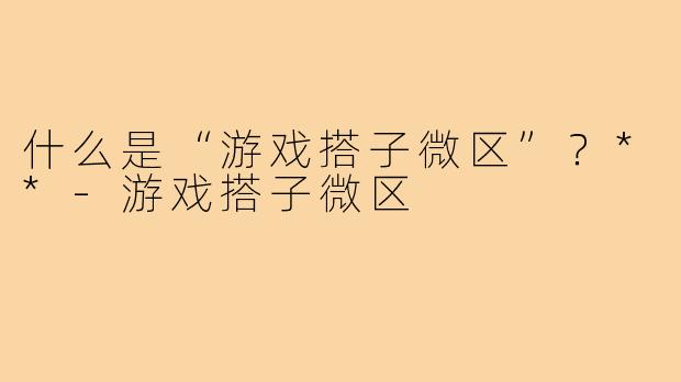 什么是“游戏搭子微区”？**