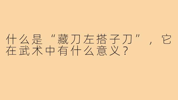 什么是“藏刀左搭子刀”，它在武术中有什么意义？