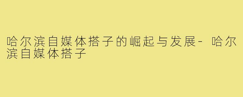 哈尔滨自媒体搭子的崛起与发展-哈尔滨自媒体搭子