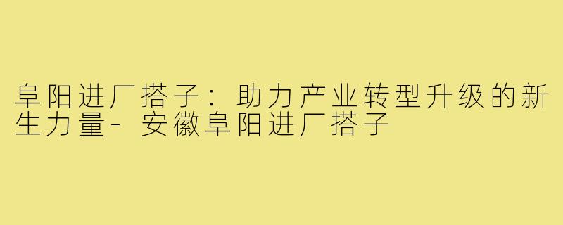 阜阳进厂搭子:助力产业转型升级的新生力量-安徽阜阳进厂搭子