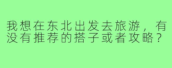 我想在东北出发去旅游，有没有推荐的搭子或者攻略？