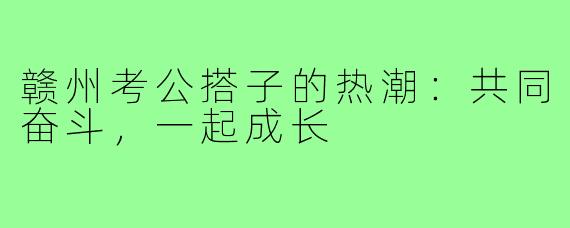 赣州考公搭子的热潮:共同奋斗,一起成长