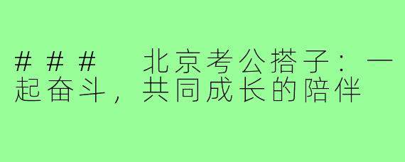 ### 北京考公搭子：一起奋斗，共同成长的陪伴
