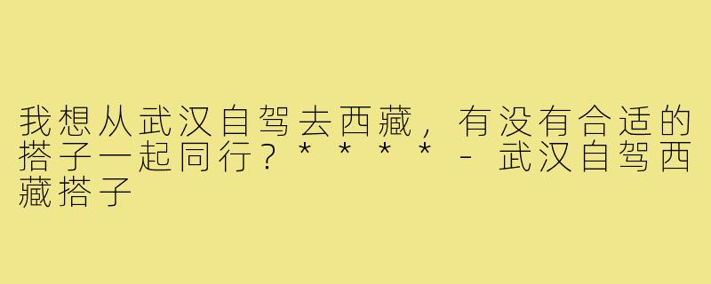我想从武汉自驾去西藏，有没有合适的搭子一起同行？****